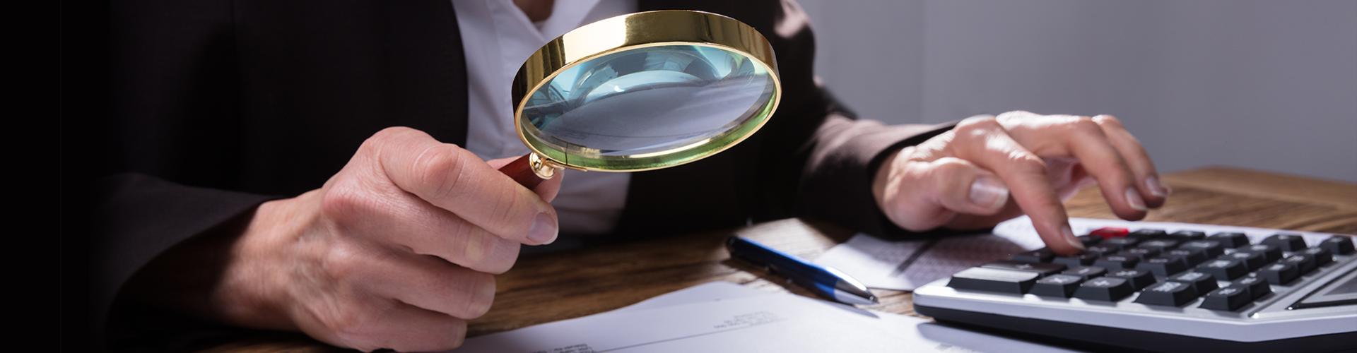 Fraud Investigation Services